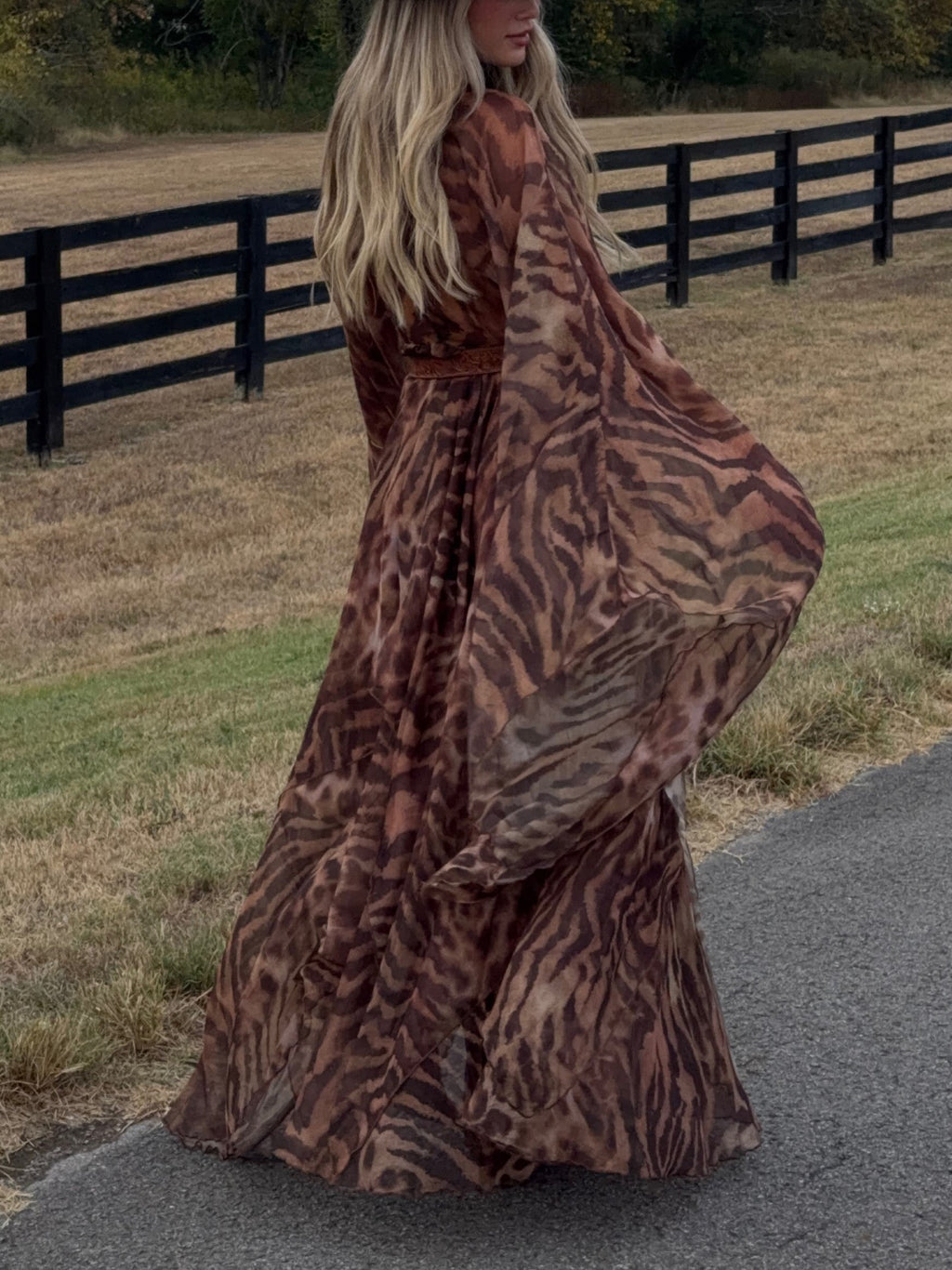 Brown Leopard Print Sheer Maxi Dress