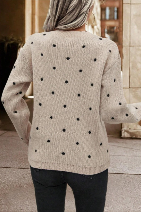 Textured Dot Crew Neck Pullover Knit Sweater