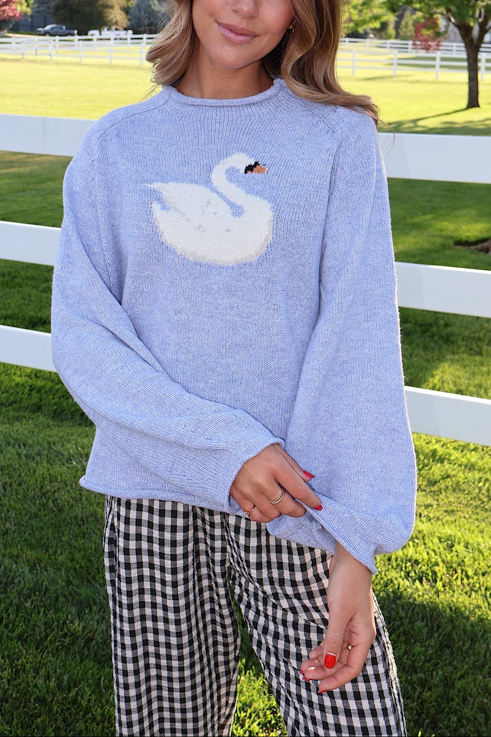 Swan Knit Sweater