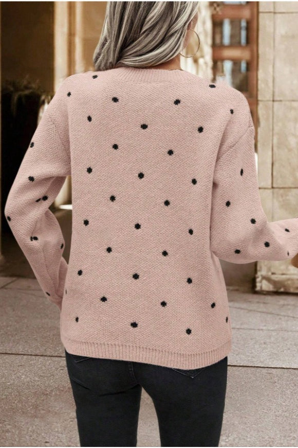 Textured Dot Crew Neck Pullover Knit Sweater