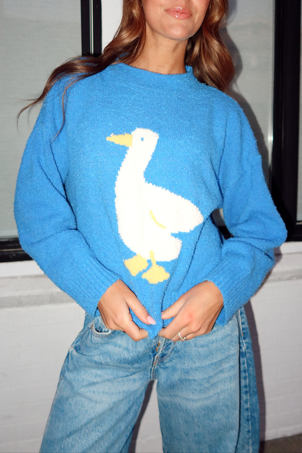 Silly Goose Sweater
