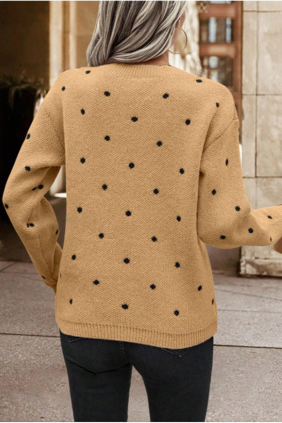 Textured Dot Crew Neck Pullover Knit Sweater