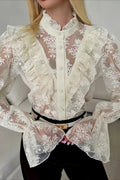 Ruffle Trim Sheer Lace Blouse