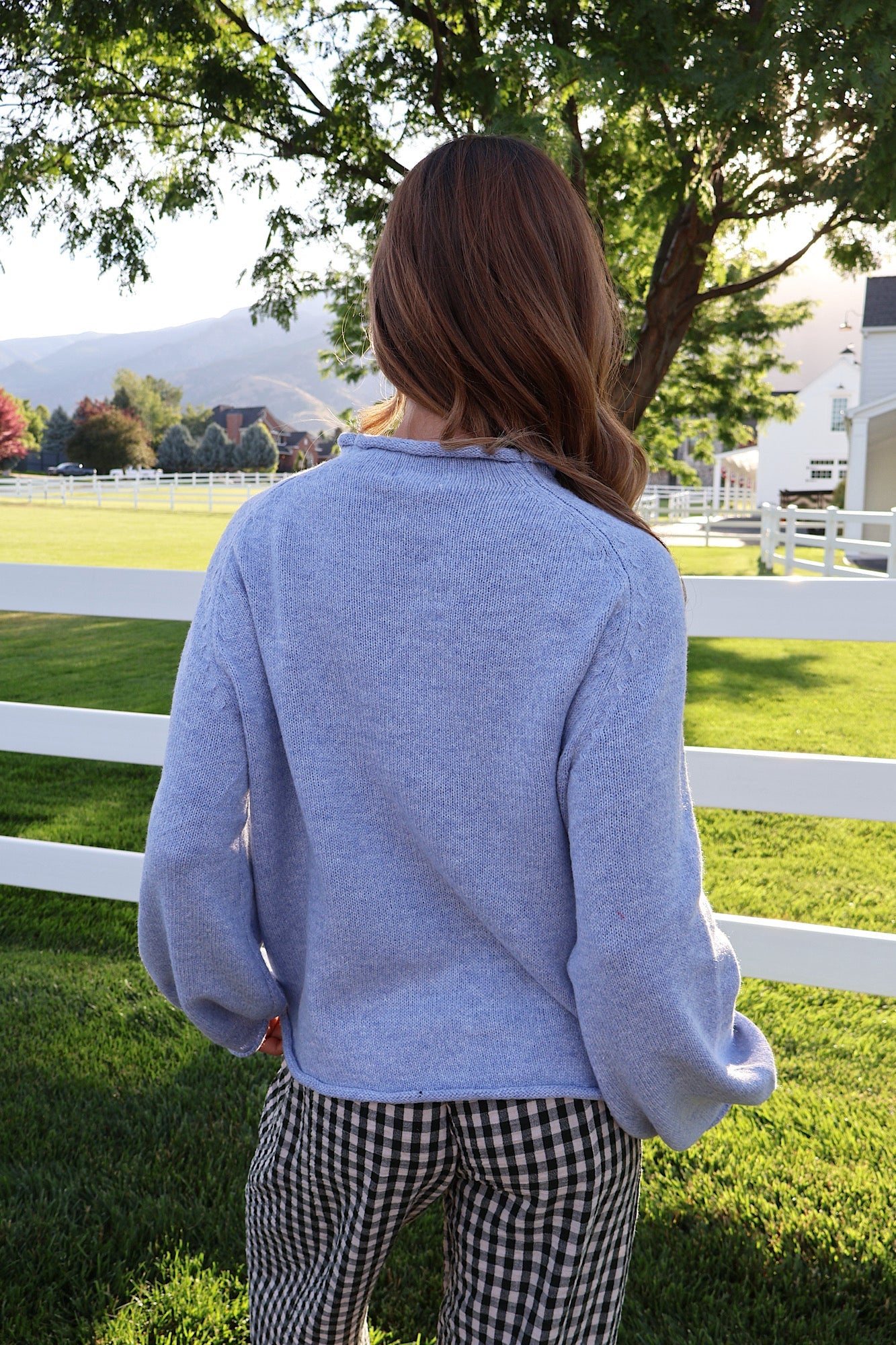 Swan Knit Sweater