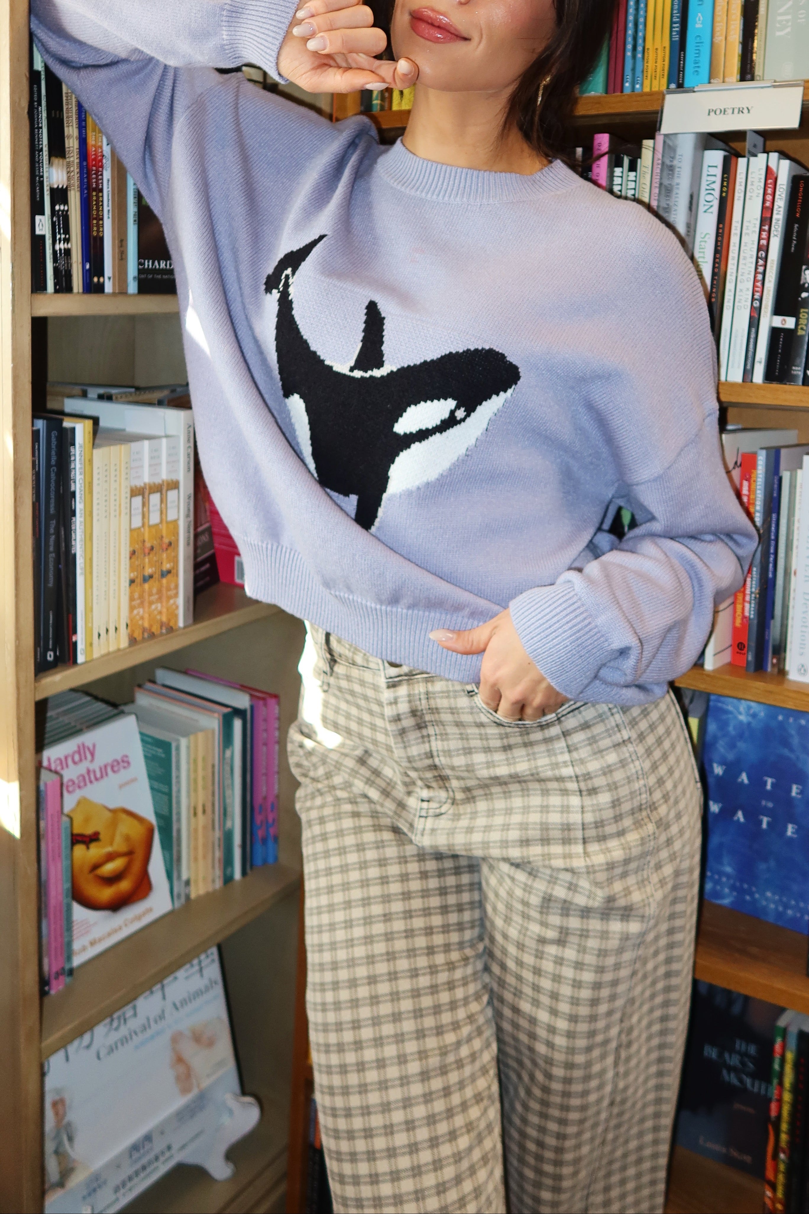 Whale Hello Knit Sweater